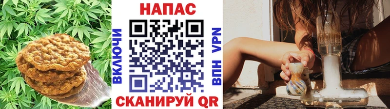 закладки  Иноземцево  mega ССЫЛКА  Еда ТГК марихуана 
