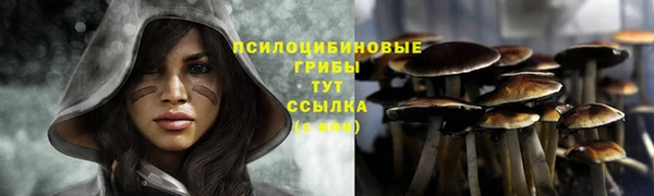 мдпв Кострома