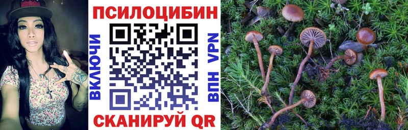 Галлюциногенные грибы мицелий где найти наркотики Иноземцево